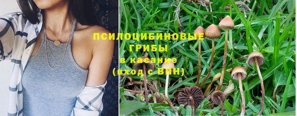 герыч Алзамай