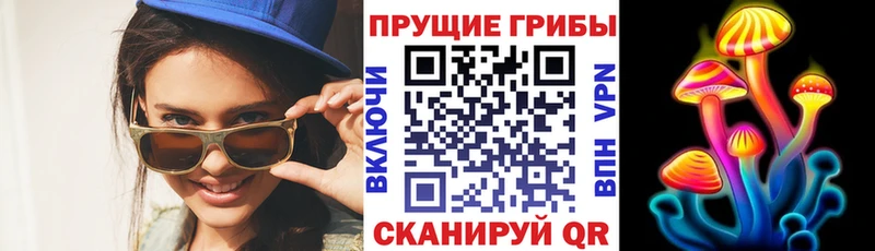 Псилоцибиновые грибы GOLDEN TEACHER  Красноуфимск 